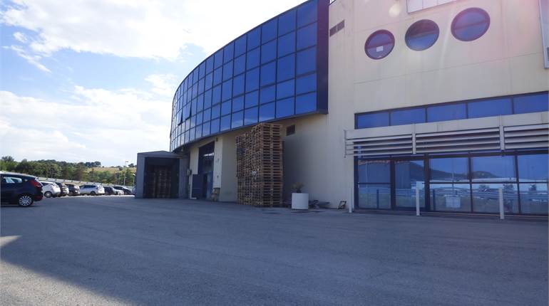 Magazzino in affitto uscita Ancona Sud