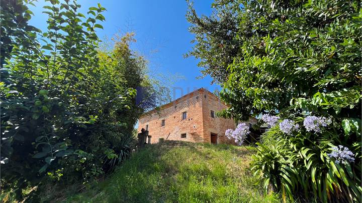 Montegallo di Osimo casale con terreno agricolo