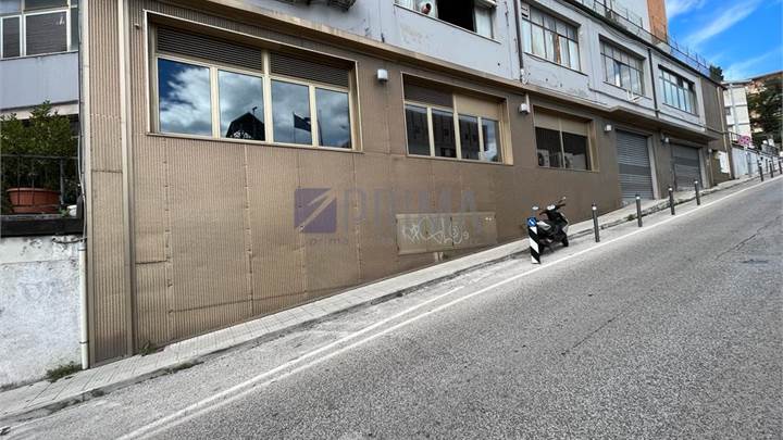 Palestra Ancona Zona Vallemiano