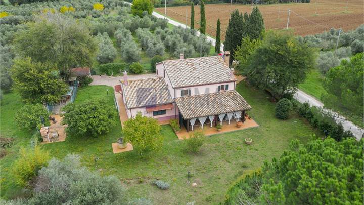 Monte San Vito, villa con giardino