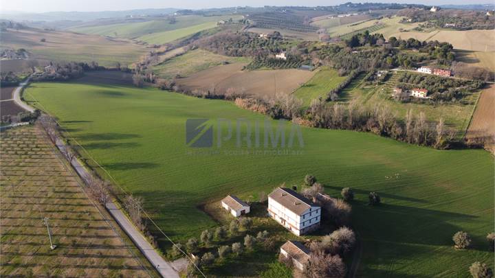 Jesi, terreno agricolo 13,6  ettari