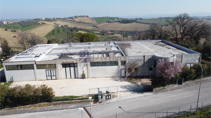 Capannone industriale con ufficio