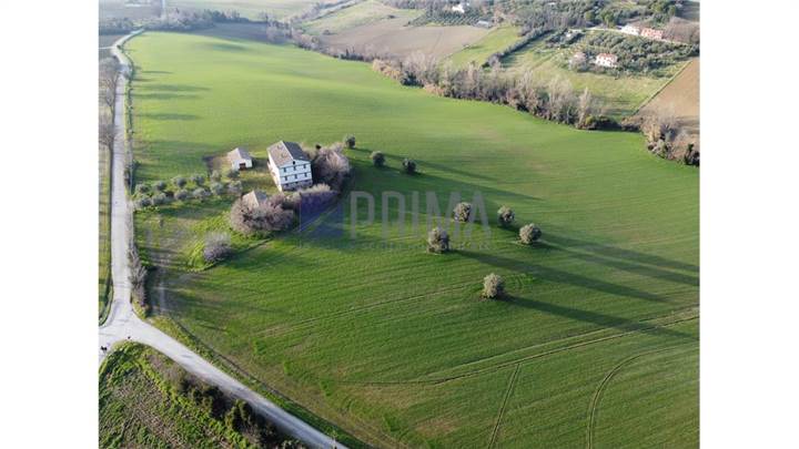 Jesi casolare (rudere) singolo con ampia corte