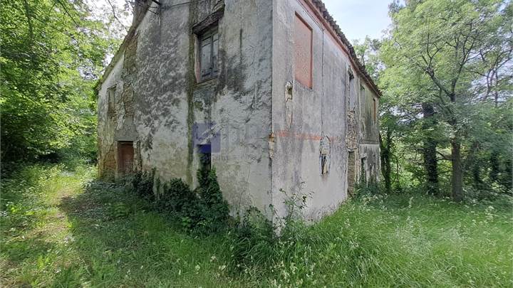 Rustico in pietra con appezzamento di terreno