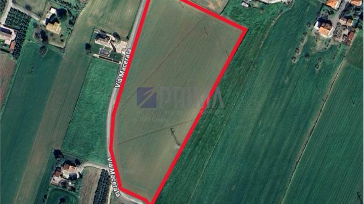 Castelfidardo zona Cerretano terreno agricolo 2,8 ettari