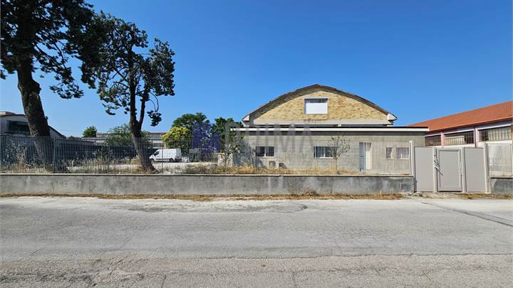 Capannone industriale con uffici e corte esclusiva