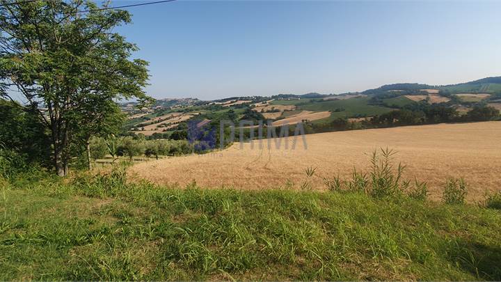 Lotto edificabile ad Offagna