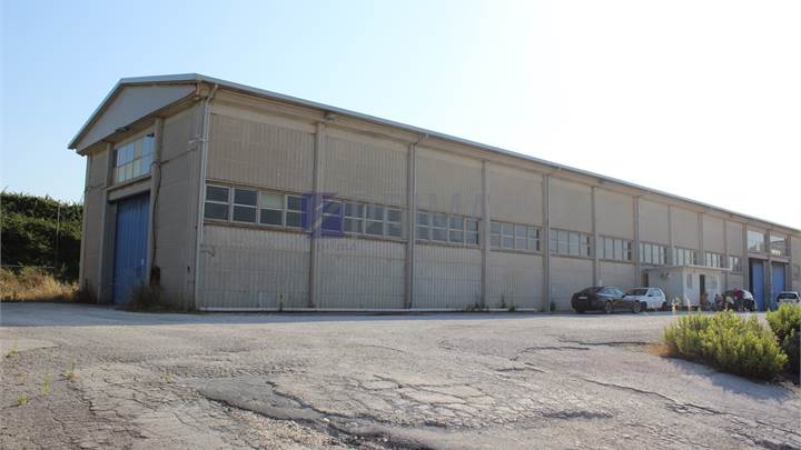 Marina di Montemarciano locazione porzione capannone industriale