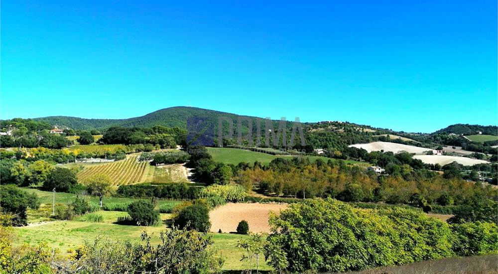 Vista panoramica su Monte Conero