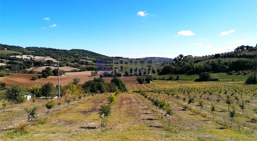 Vista panoramica sul terreno di fronte