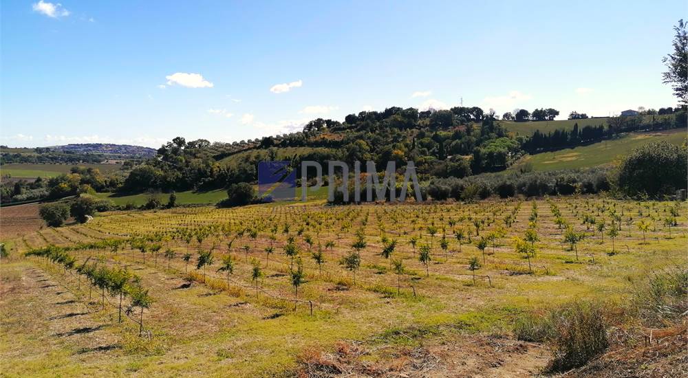 Vista panoramica sul terreno di fronte