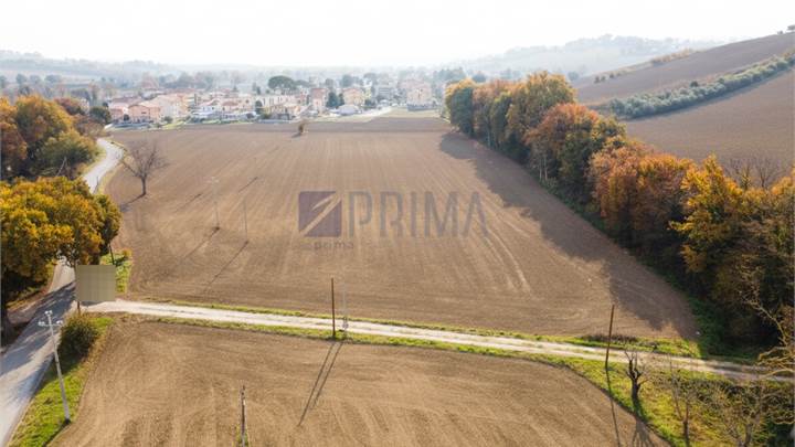 Appezzamento di oltre 7 ettari di terreno