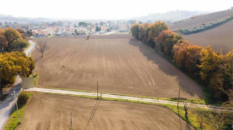 Appezzamento di oltre 7 ettari di terreno