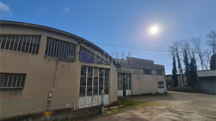 Capannone ad uso magazzino con corte esclusiva