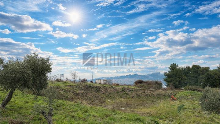 Area Edificabile con sbancamento e palificazione eseguiti