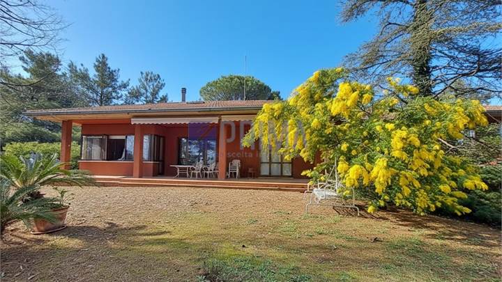 Villa bifamiliare in collina con parco ed uliveto